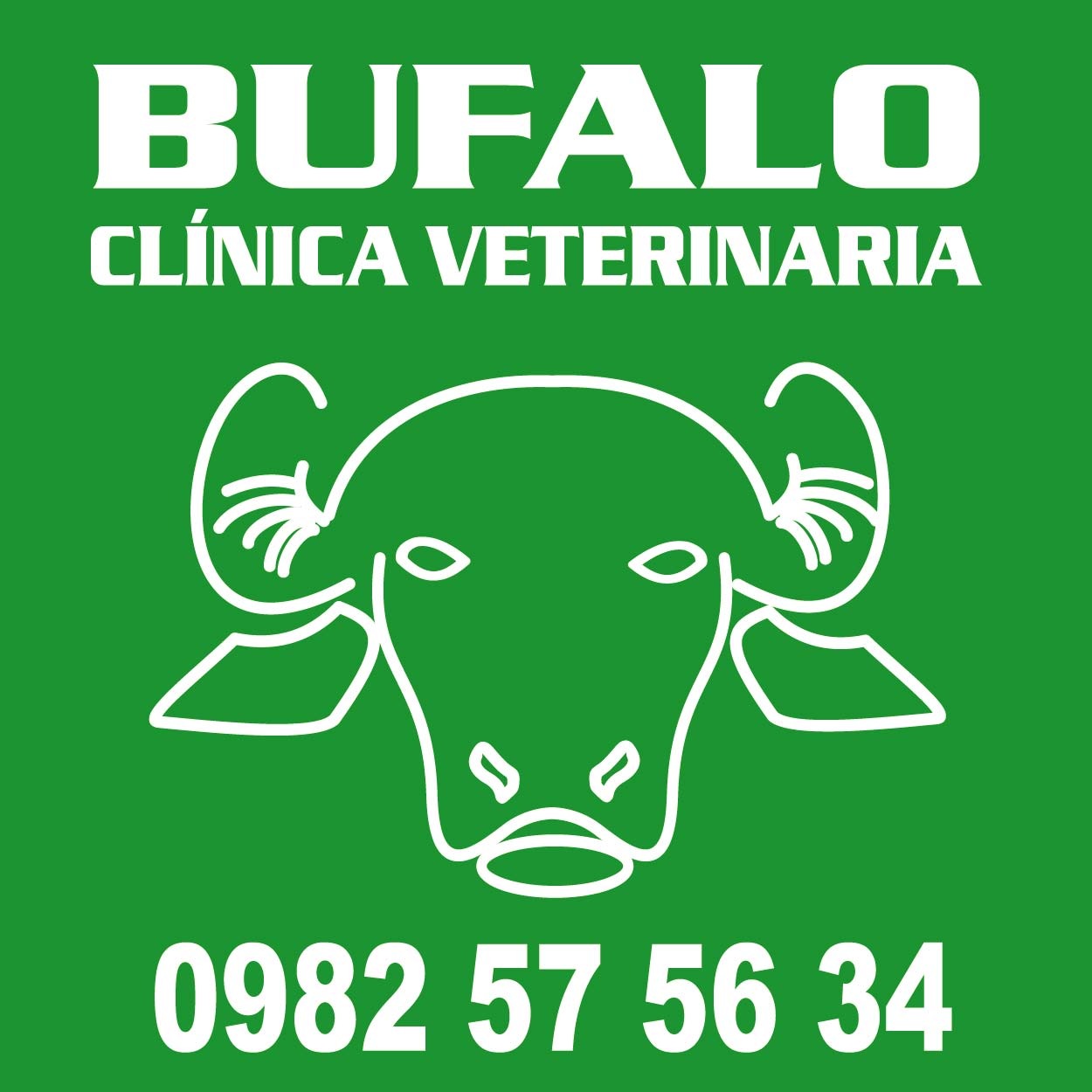 BUFALO VETERINARIA 